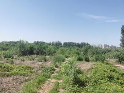 劉集鎮徐莊村約35畝土地2年承包經營權流轉項目交易公告